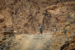 Richterveld wheelie
